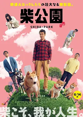 解开岳的丰满奶罩bd
